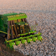 Illustration for article titled King of the Cotton Pickers